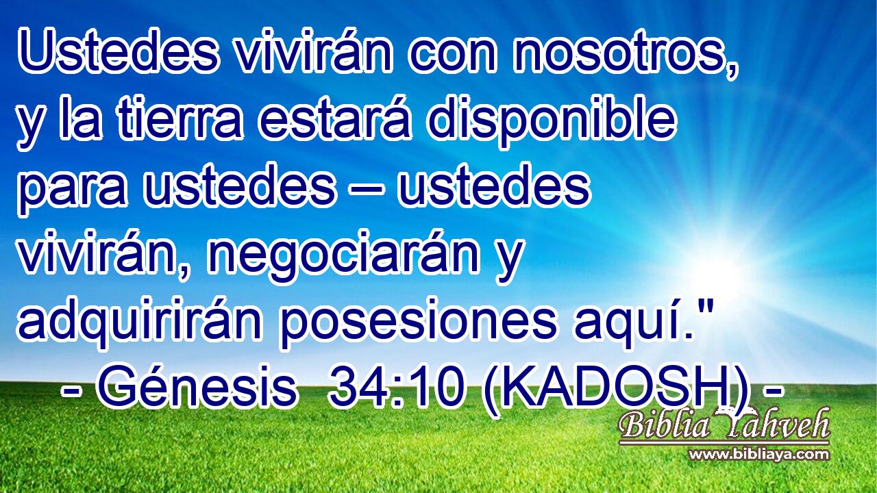  Ustedes vivirán con nosotros, y la tierra estará disponible para ustedes – ustedes vivirán, negociarán y adquirirán posesiones aquí.