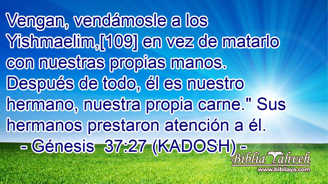  Vengan, vendámosle a los Yishmaelim,[109] en vez de matarlo con nuestras propias manos. Después de todo, él es nuestro hermano, nuestra propia carne.