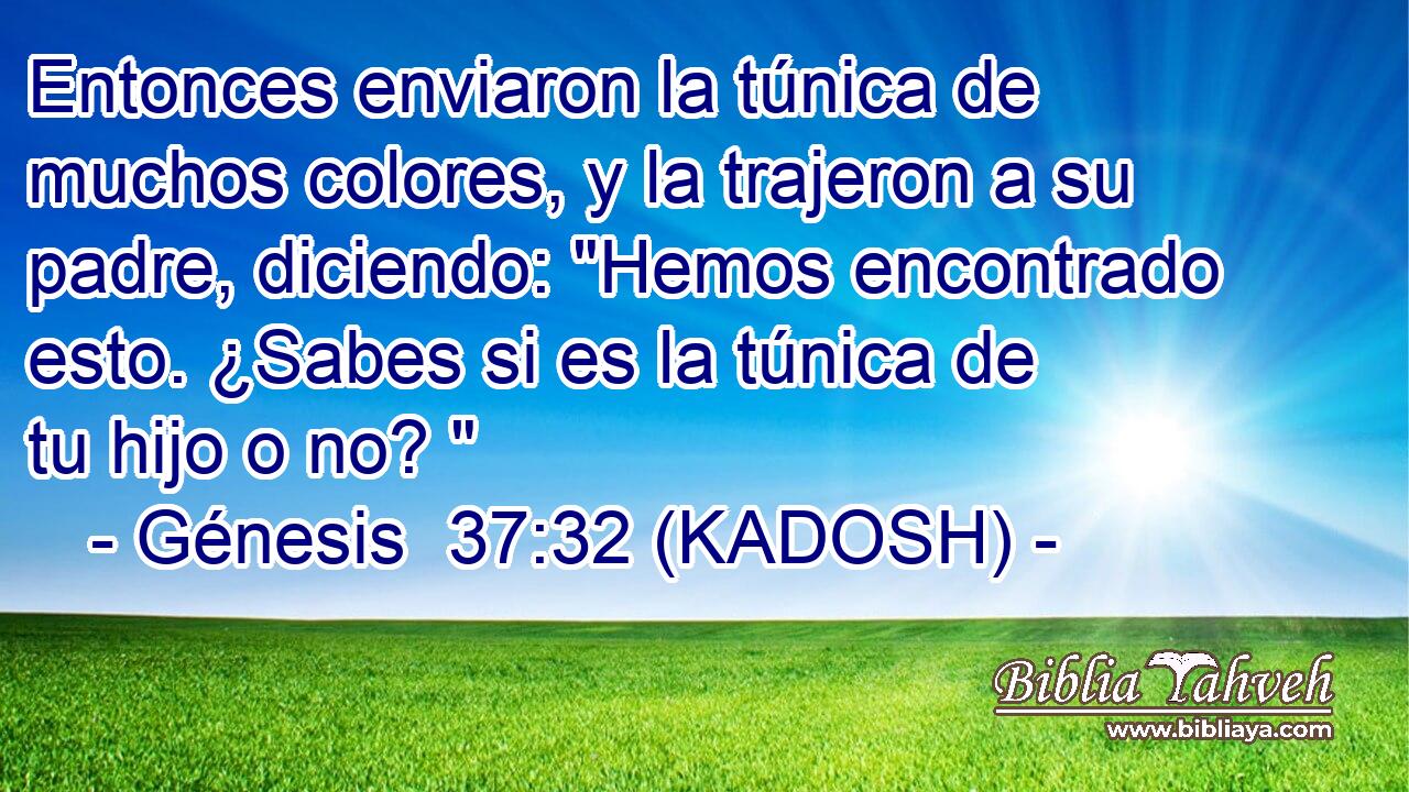  Entonces enviaron la túnica de muchos colores, y la trajeron a su padre, diciendo: 