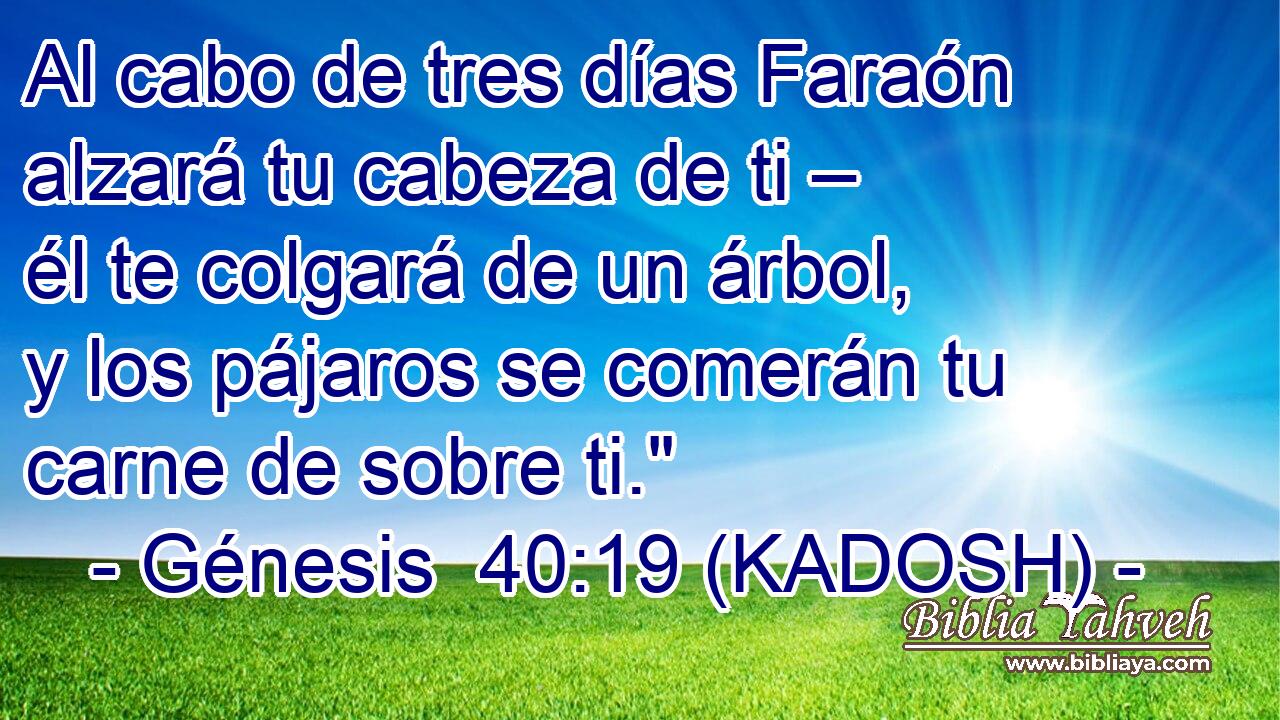  Al cabo de tres días Faraón alzará tu cabeza de ti – él te colgará de un árbol, y los pájaros se comerán tu carne de sobre ti.