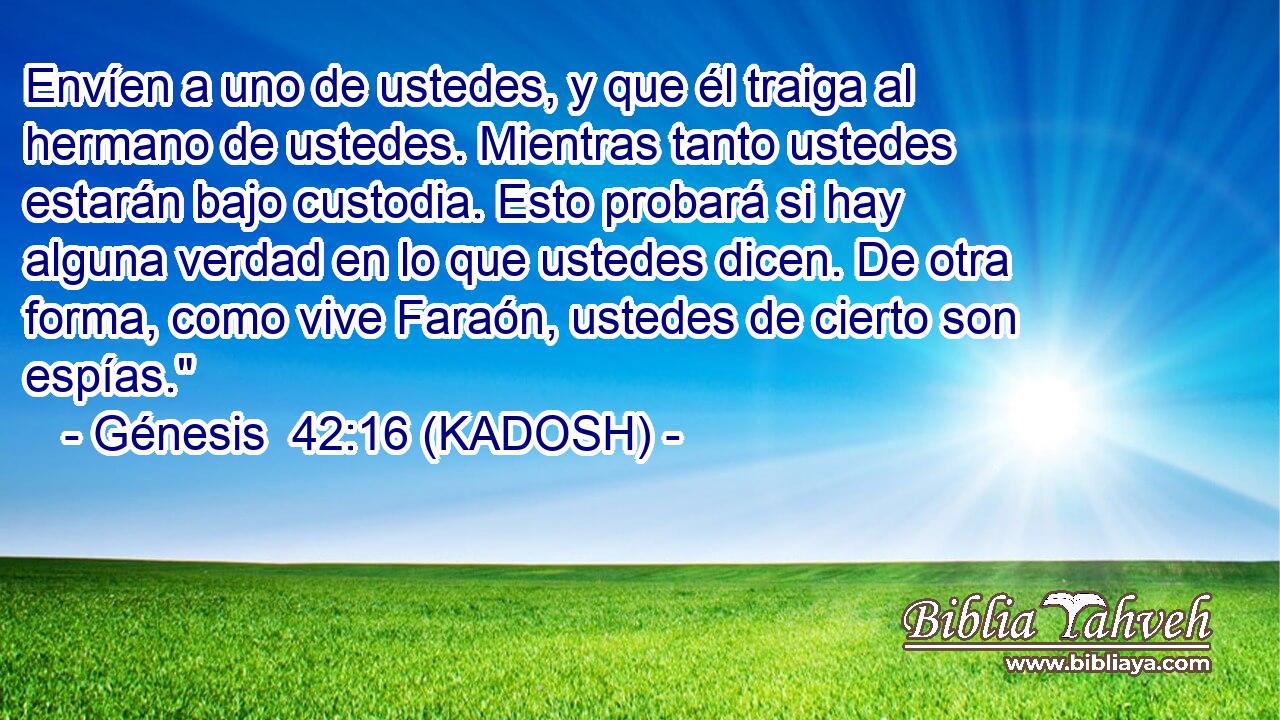  Envíen a uno de ustedes, y que él traiga al hermano de ustedes. Mientras tanto ustedes estarán bajo custodia. Esto probará si hay alguna verdad en lo que ustedes dicen. De otra forma, como vive Faraón, ustedes de cierto son espías.