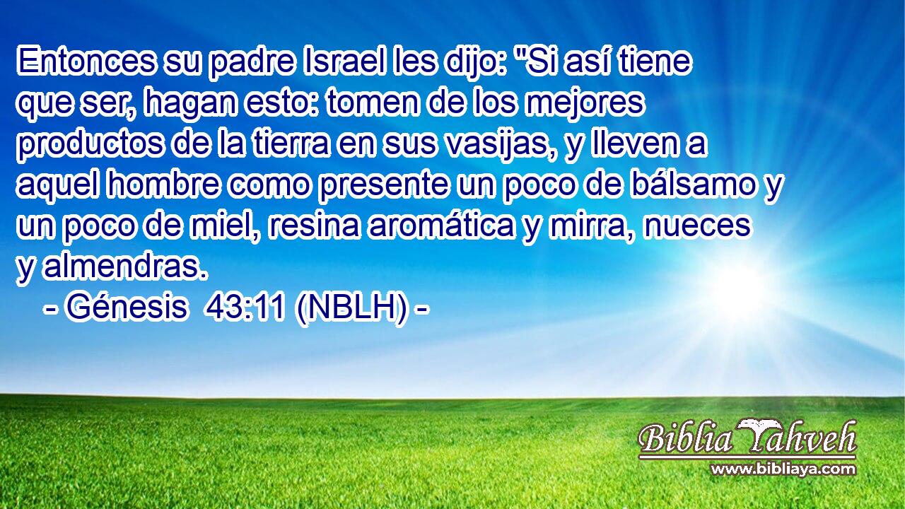  Entonces su padre Israel les dijo: 