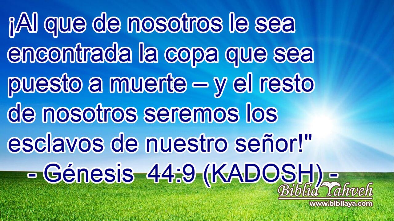  ¡Al que de nosotros le sea encontrada la copa que sea puesto a muerte – y el resto de nosotros seremos los esclavos de nuestro señor!