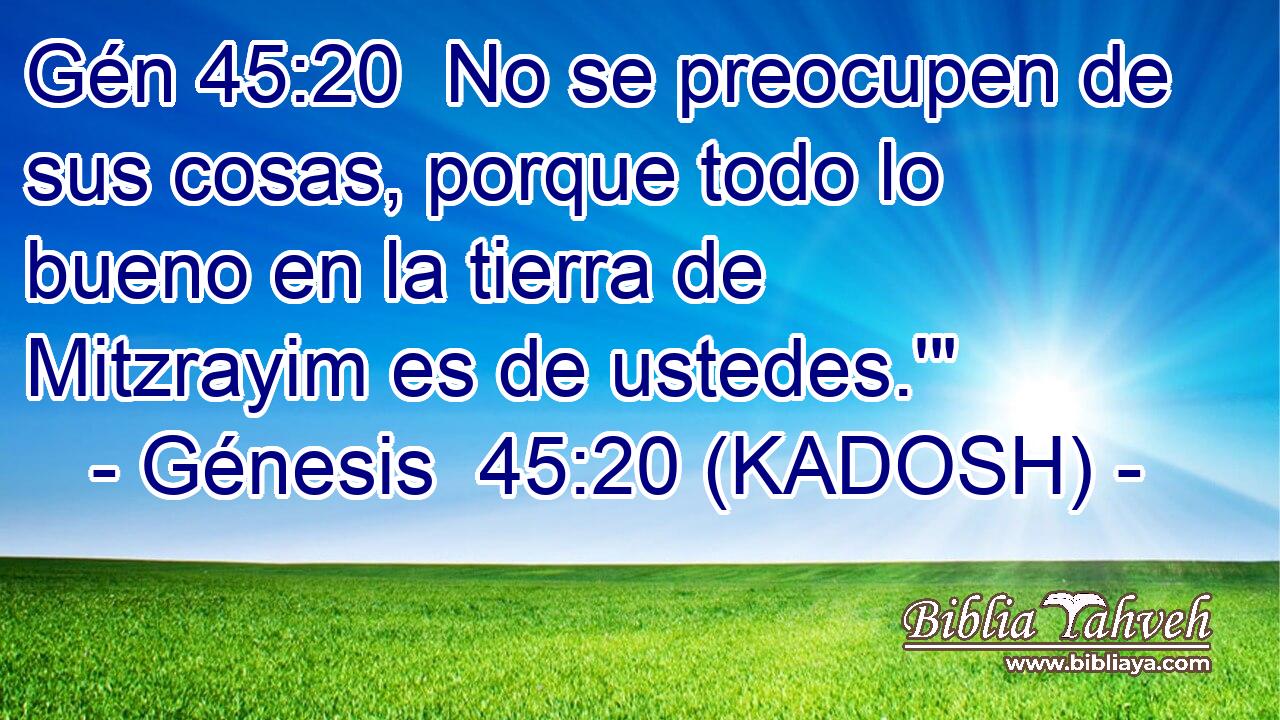  No se preocupen de sus cosas, porque todo lo bueno en la tierra de Mitzrayim es de ustedes.'