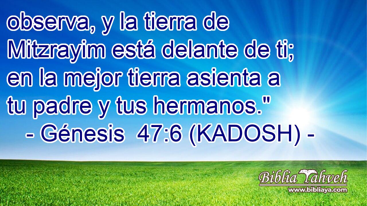  observa, y la tierra de Mitzrayim está delante de ti; en la mejor tierra asienta a tu padre y tus hermanos.