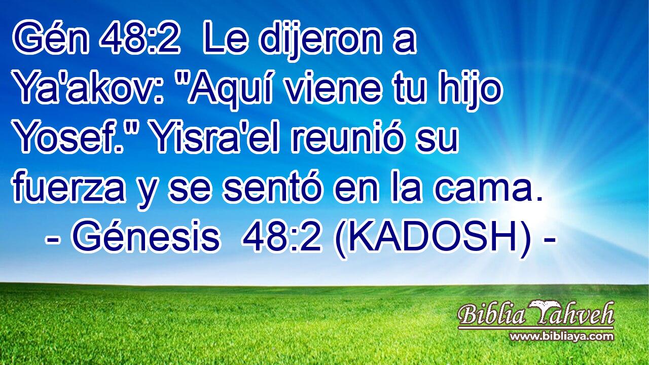  Le dijeron a Ya'akov: 