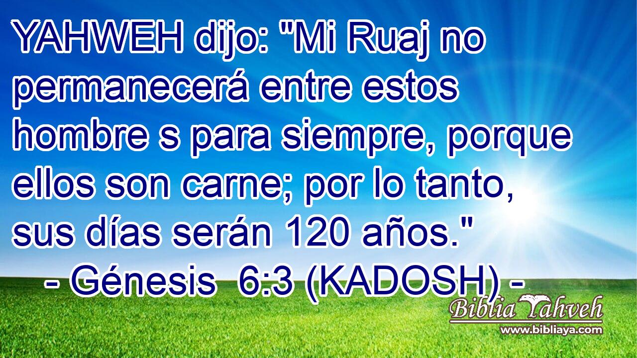  YAHWEH dijo: 