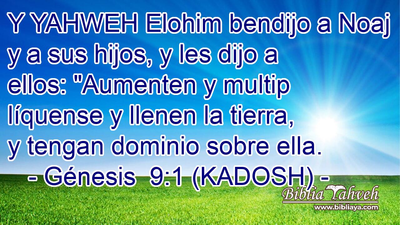  Y YAHWEH Elohim bendijo a Noaj y a sus hijos, y les dijo a ellos: 