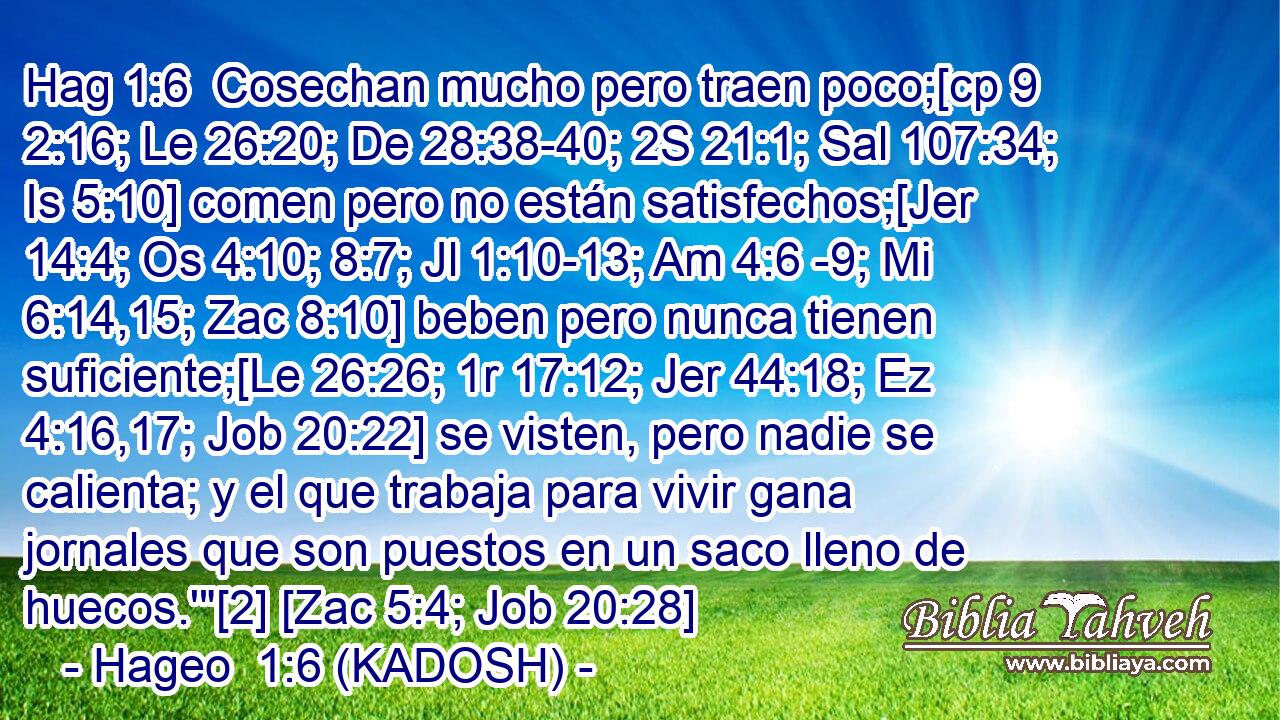  Cosechan mucho pero traen poco;[cp 9 2:16; Le 26:20; De 28:38-40; 2S 21:1; Sal 107:34; Is 5:10] comen pero no están satisfechos;[Jer 14:4; Os 4:10; 8:7; Jl 1:10-13; Am 4:6 -9; Mi 6:14,15; Zac 8:10] beben pero nunca tienen suficiente;[Le 26:26; 1r 17:12; Jer 44:18; Ez 4:16,17; Job 20:22] se visten, pero nadie se calienta; y el que trabaja para vivir gana jornales que son puestos en un saco lleno de huecos.'