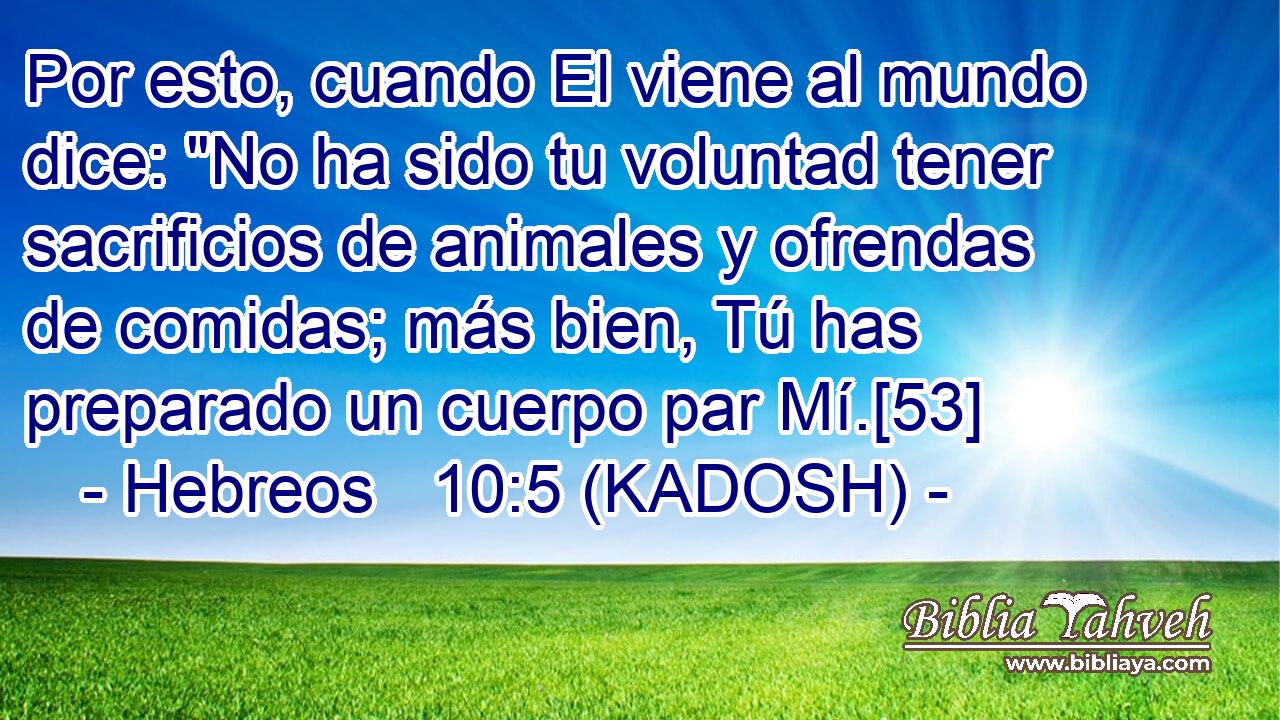  Por esto, cuando El viene al mundo dice: 