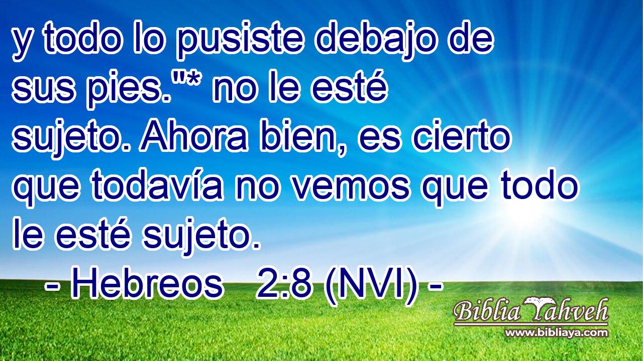  y todo lo pusiste debajo de sus pies.