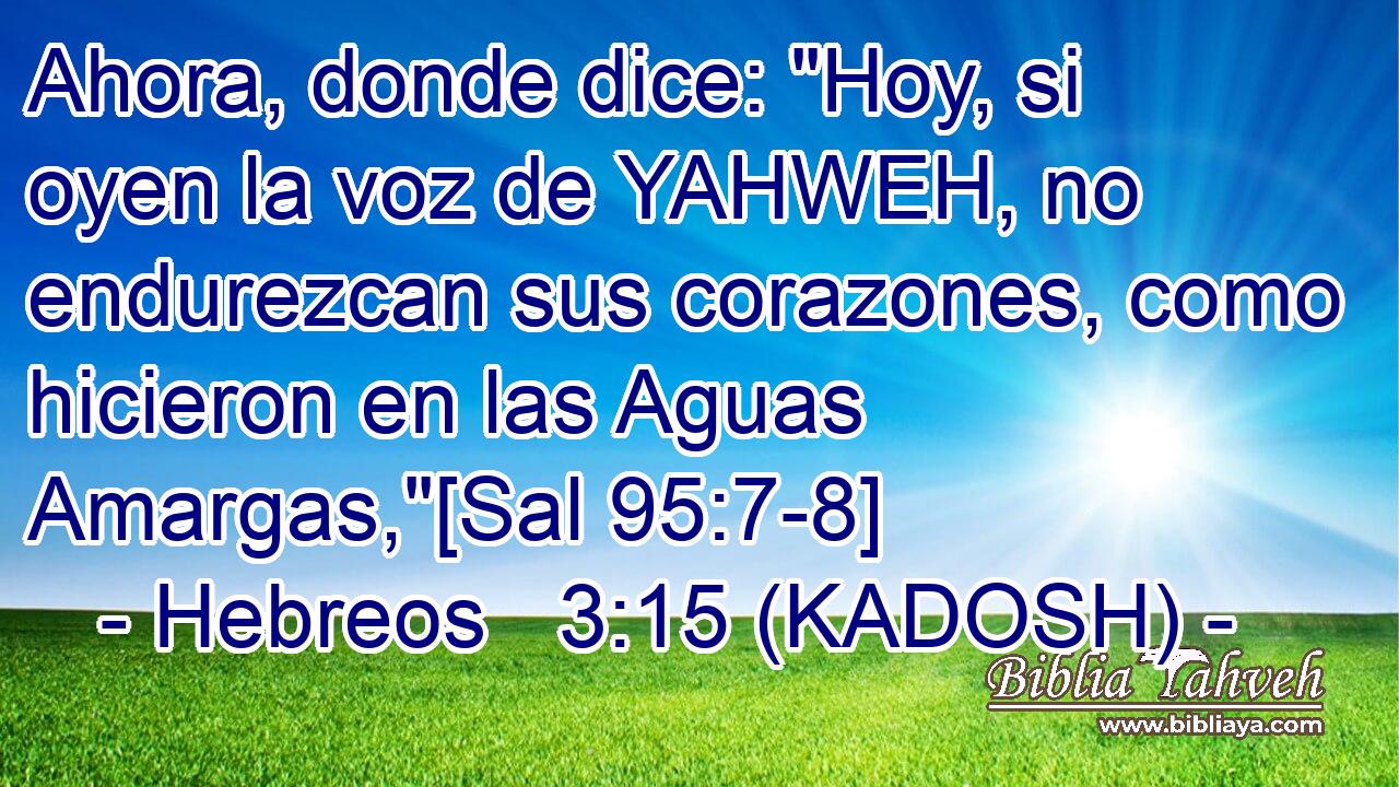  Ahora, donde dice: 