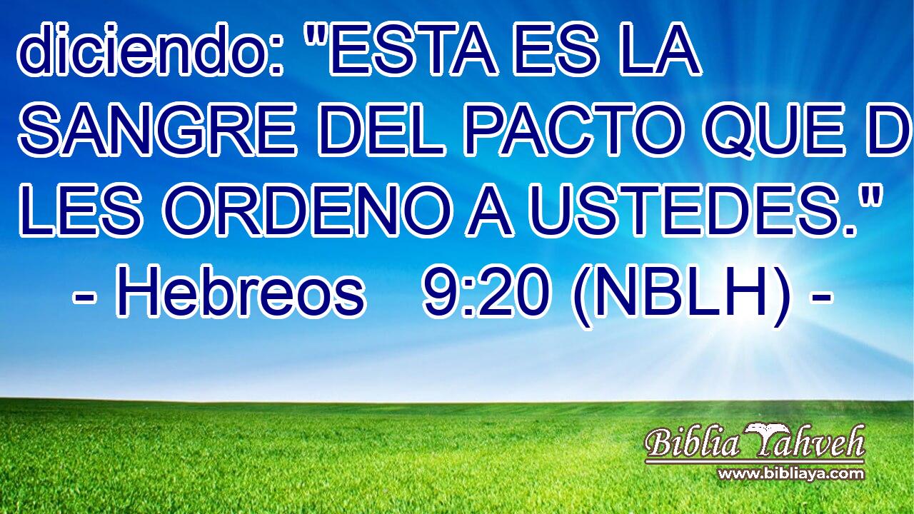  diciendo: 