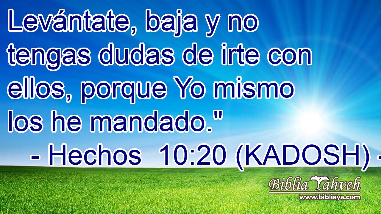  Levántate, baja y no tengas dudas de irte con ellos, porque Yo mismo los he mandado.