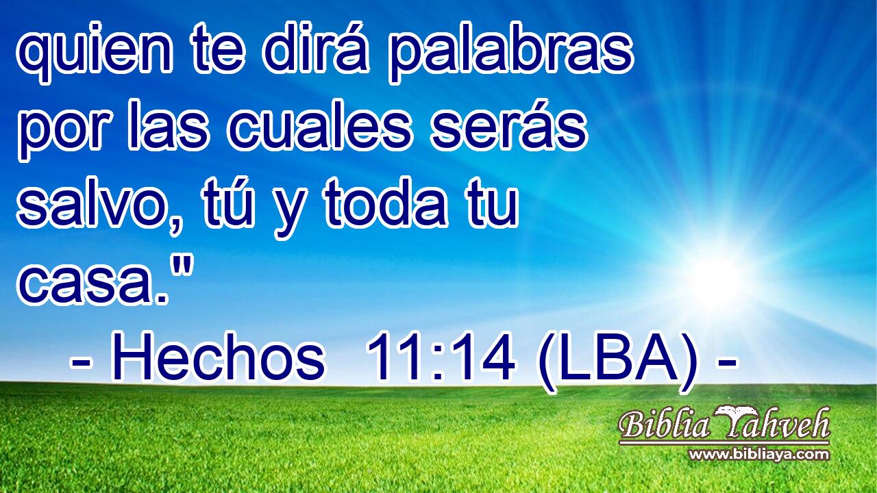 quien te dirá palabras por las cuales serás salvo, tú y toda tu casa.