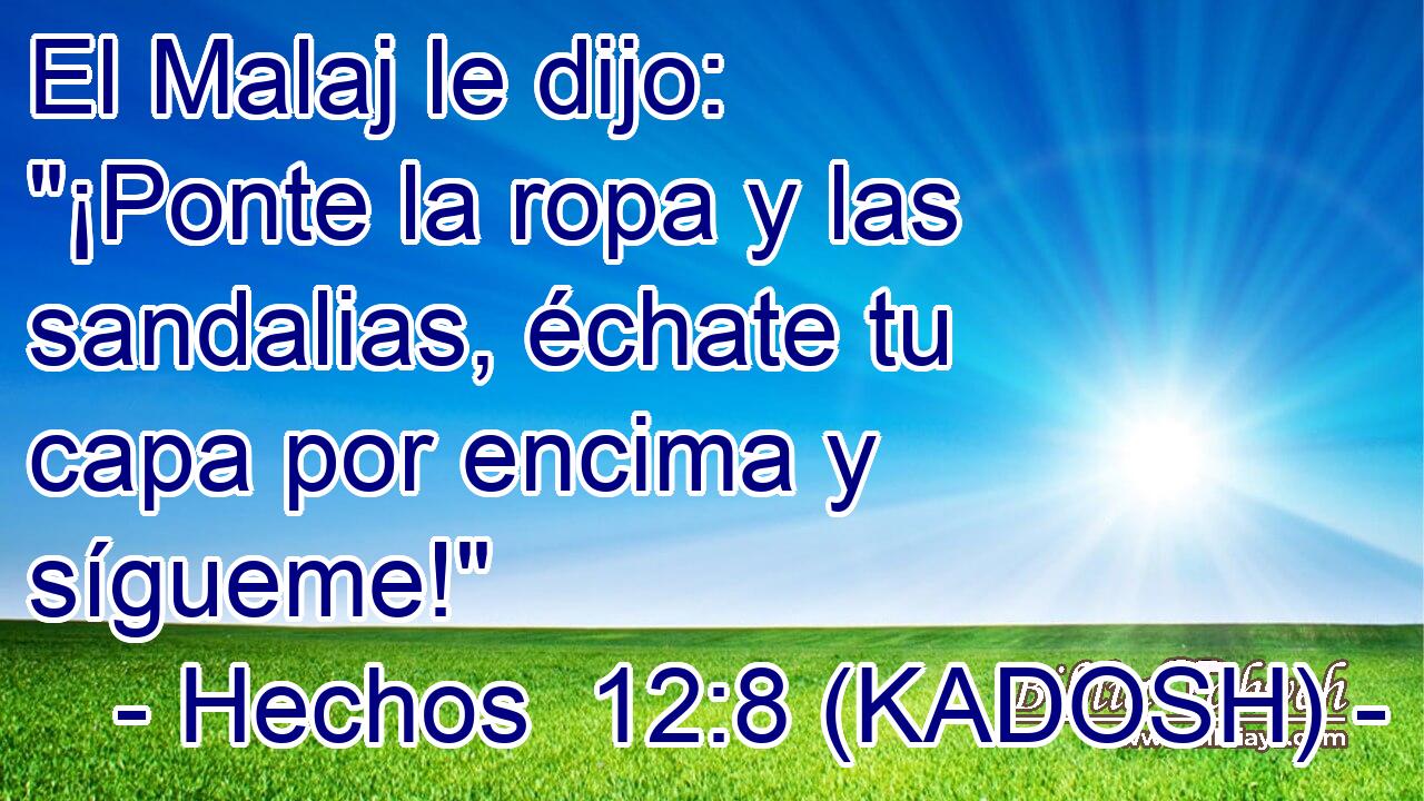  El Malaj le dijo: 
