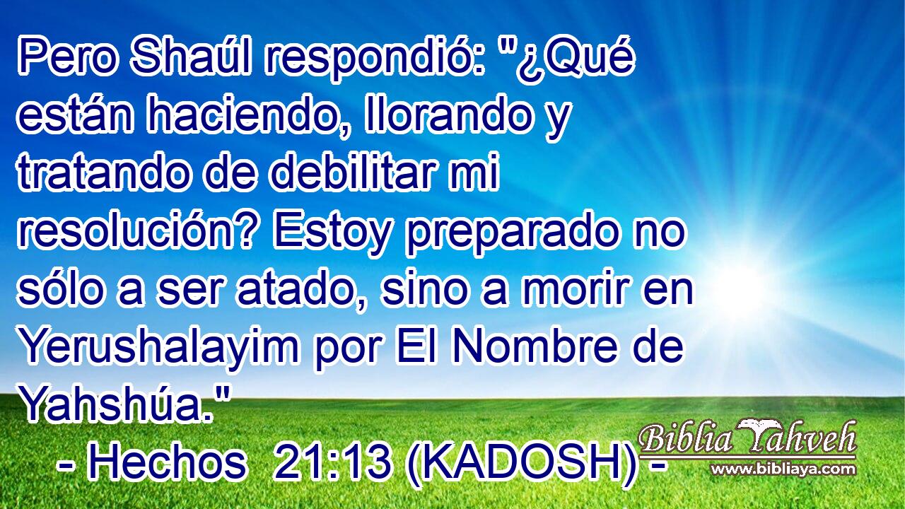  Pero Shaúl respondió: 