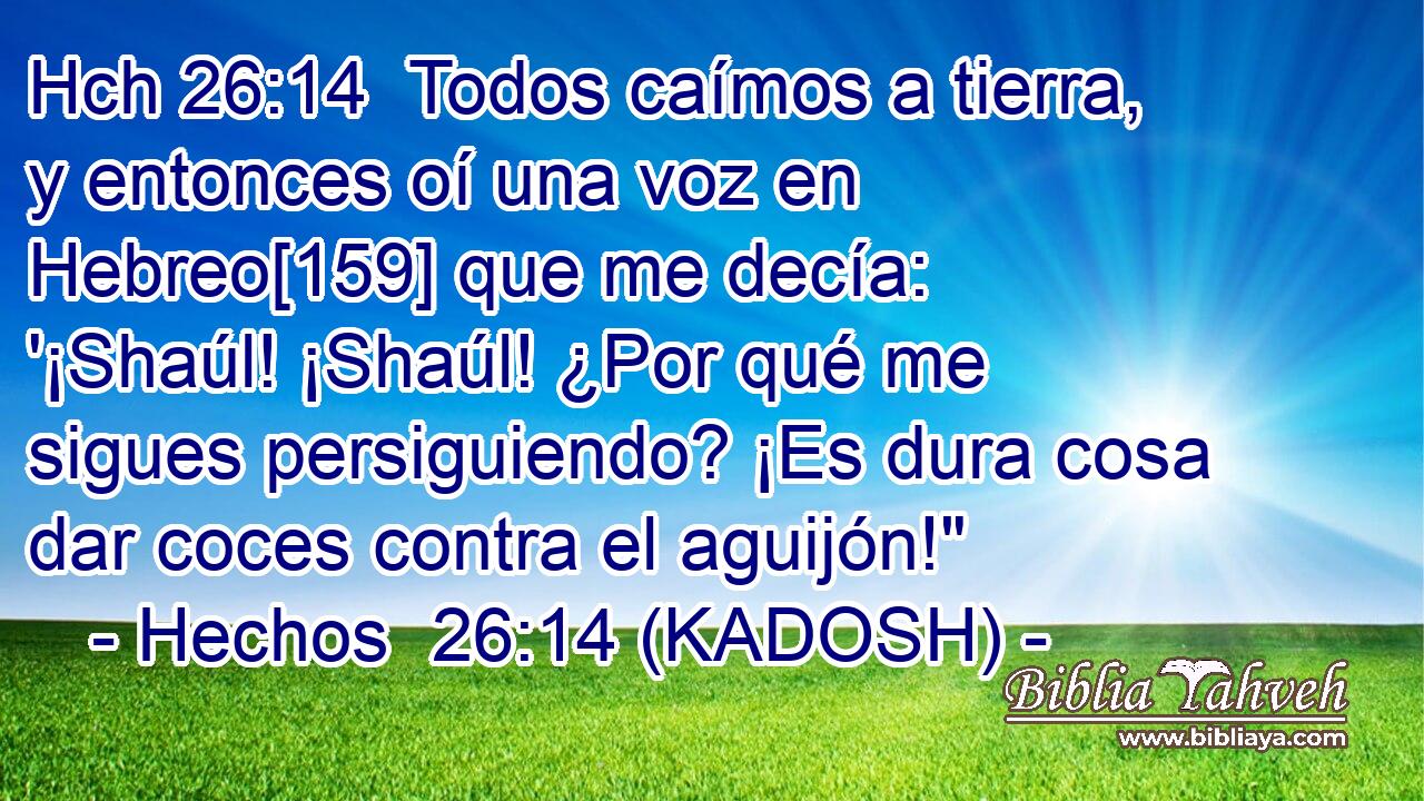 Hch 26:14  Todos caímos a tierra, y entonces oí una voz en Hebreo[159] que me decía: '¡Shaúl! ¡Shaúl! ¿Por qué me sigues persiguiendo? ¡Es dura cosa dar coces contra el aguijón!