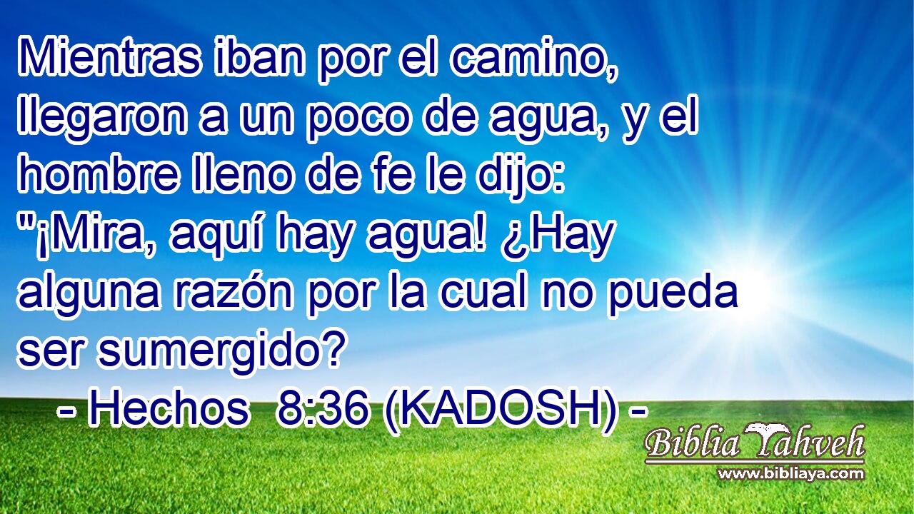  Mientras iban por el camino, llegaron a un poco de agua, y el hombre lleno de fe le dijo: 