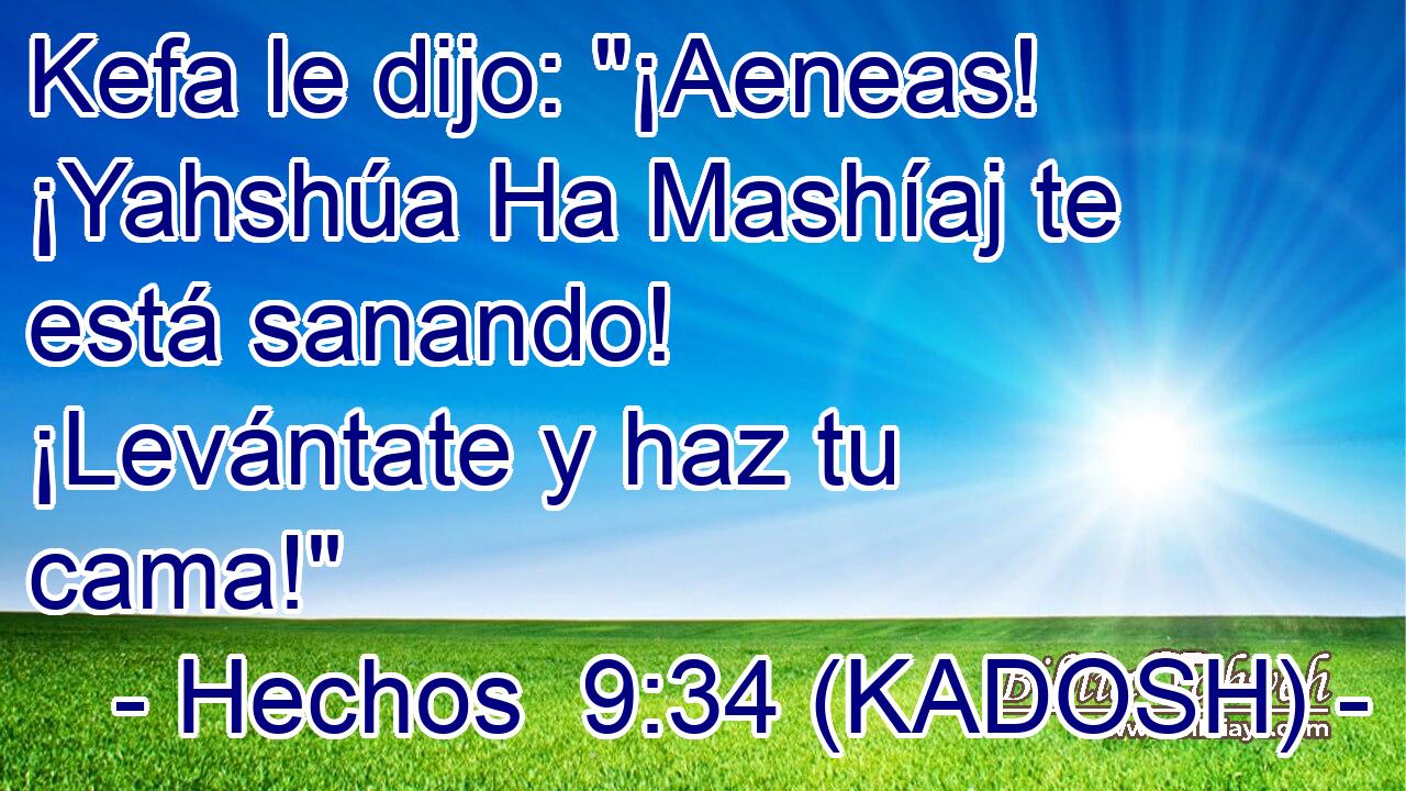  Kefa le dijo: 
