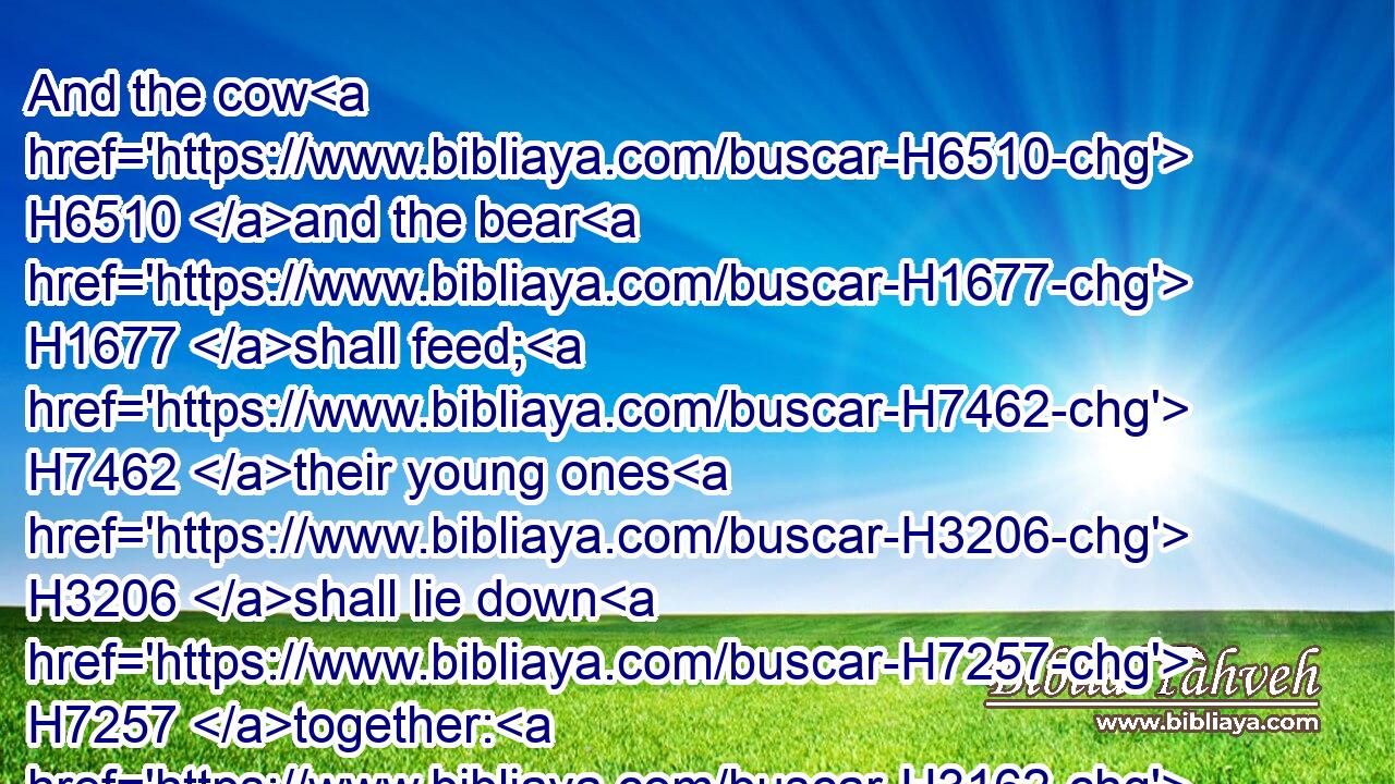 And the cow H6510 and the bear H1677 shall feed; H7462 their young ones H3206 shall lie down H7257 together: H3162 and the lion H738 shall eat H398 straw H8401 like the ox.H1241