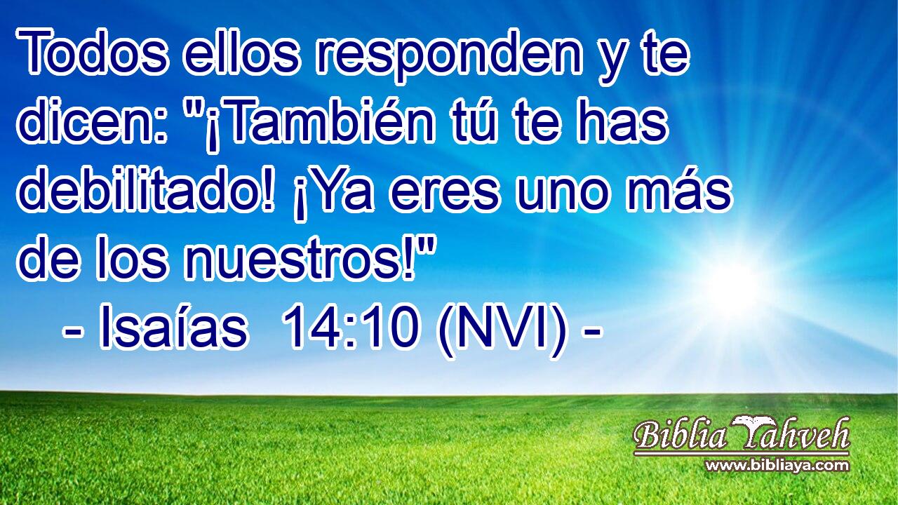  Todos ellos responden y te dicen: 