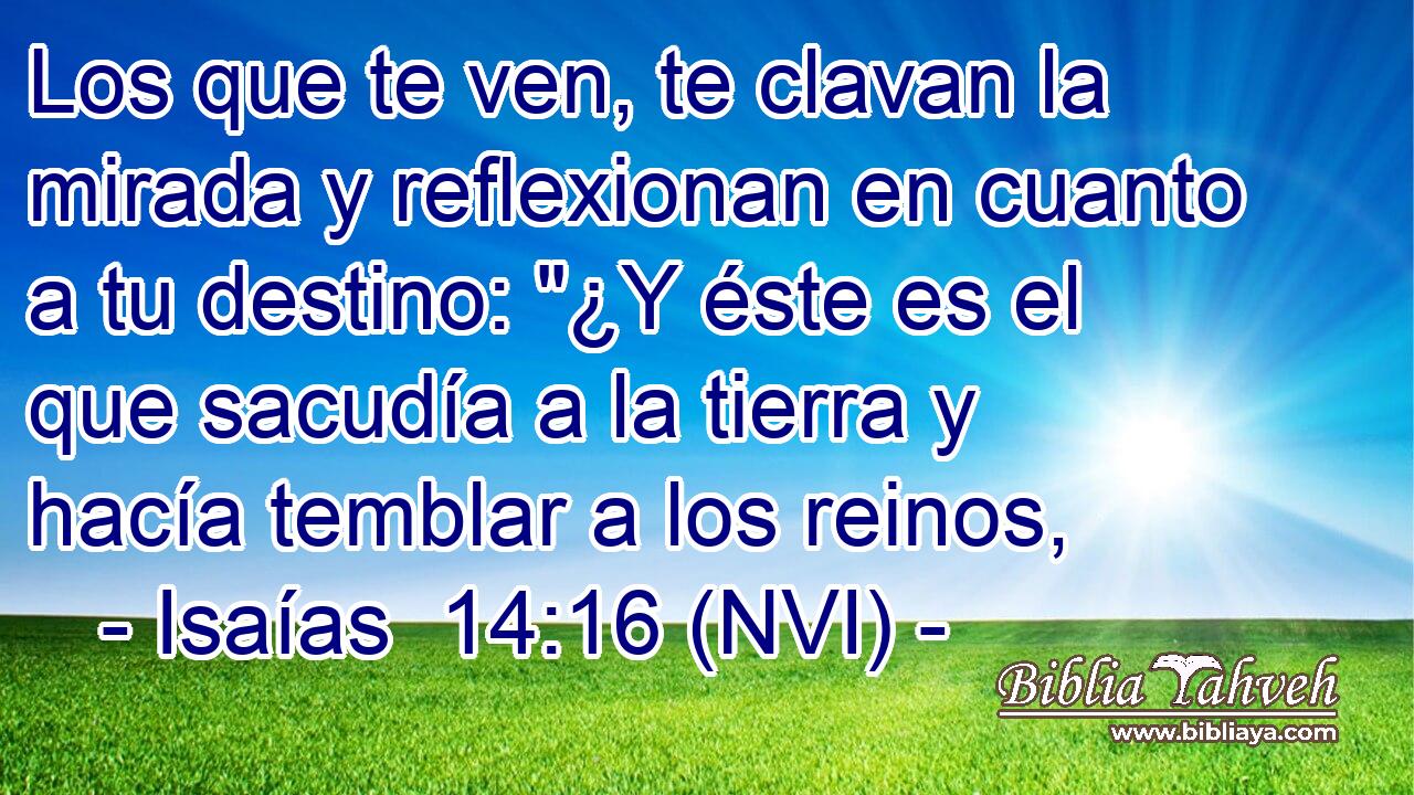  Los que te ven, te clavan la mirada y reflexionan en cuanto a tu destino: 