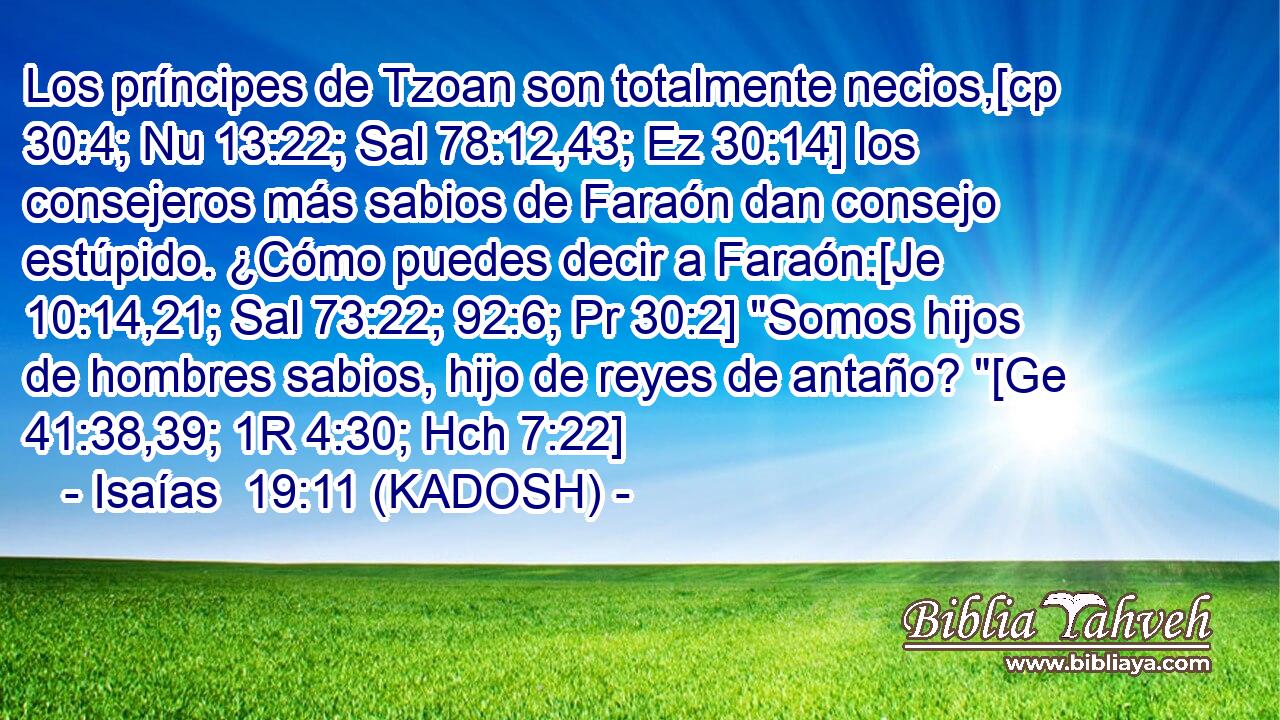  Los príncipes de Tzoan son totalmente necios,[cp 30:4; Nu 13:22; Sal 78:12,43; Ez 30:14] los consejeros más sabios de Faraón dan consejo estúpido. ¿Cómo puedes decir a Faraón:[Je 10:14,21; Sal 73:22; 92:6; Pr 30:2] 