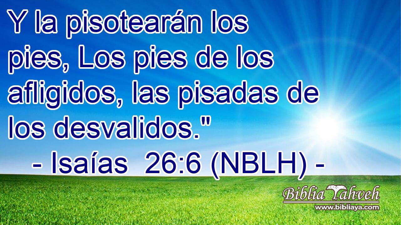  Y la pisotearán los pies, Los pies de los afligidos, las pisadas de los desvalidos.