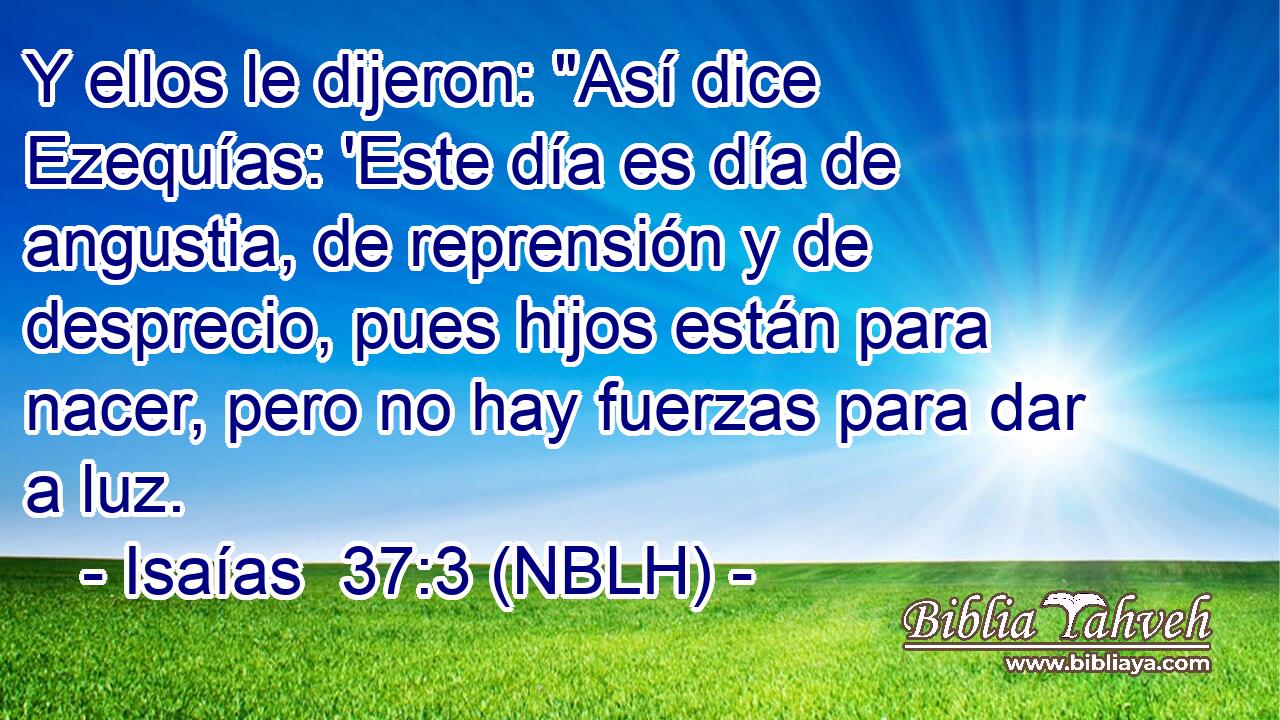 Y ellos le dijeron: 
