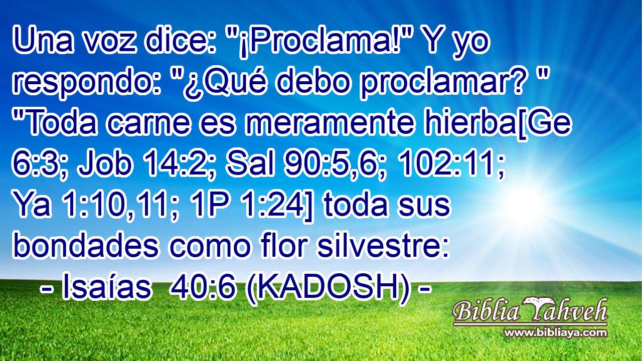 Una voz dice: 