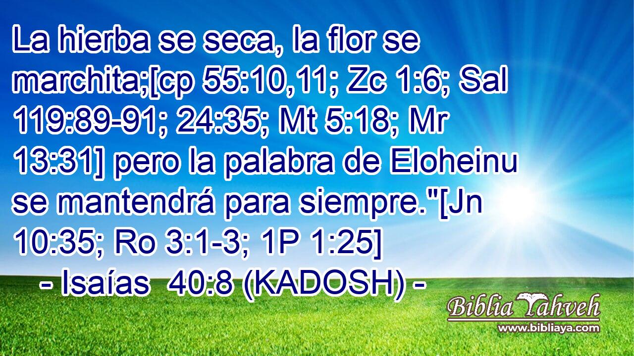  La hierba se seca, la flor se marchita;[cp 55:10,11; Zc 1:6; Sal 119:89-91; 24:35; Mt 5:18; Mr 13:31] pero la palabra de Eloheinu se mantendrá para siempre.