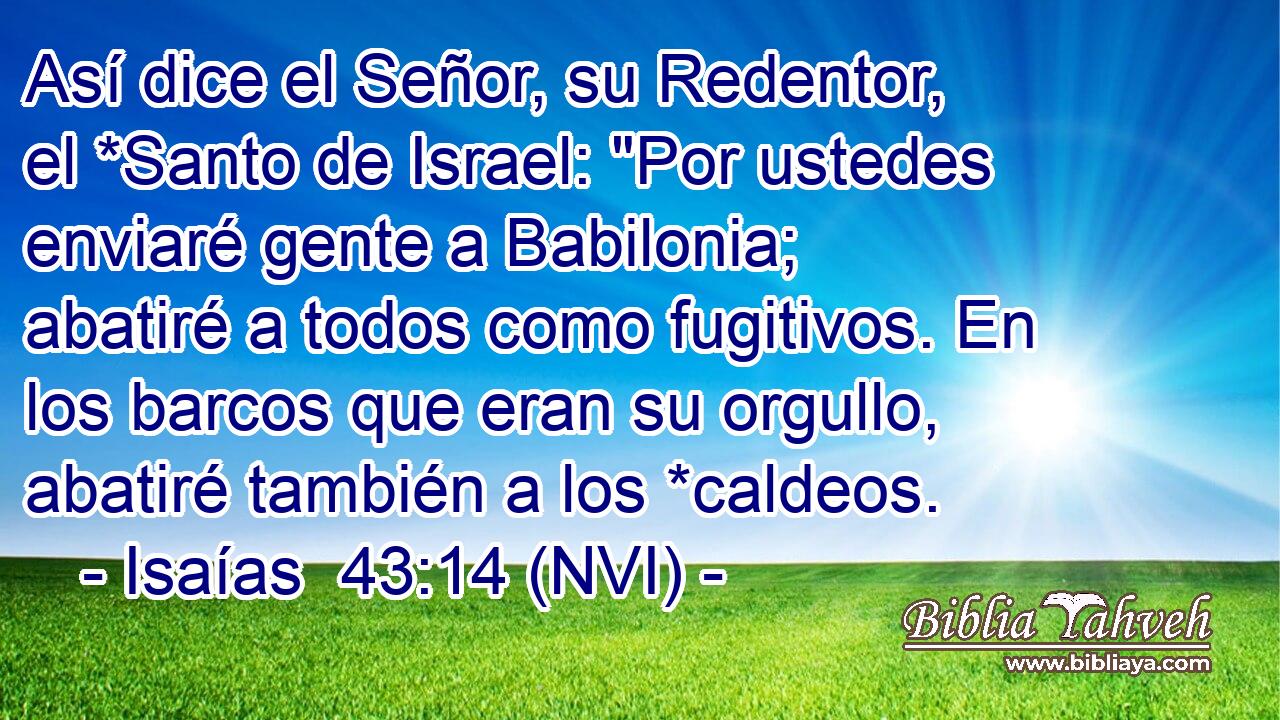  Así dice el Señor, su Redentor, el *Santo de Israel: 