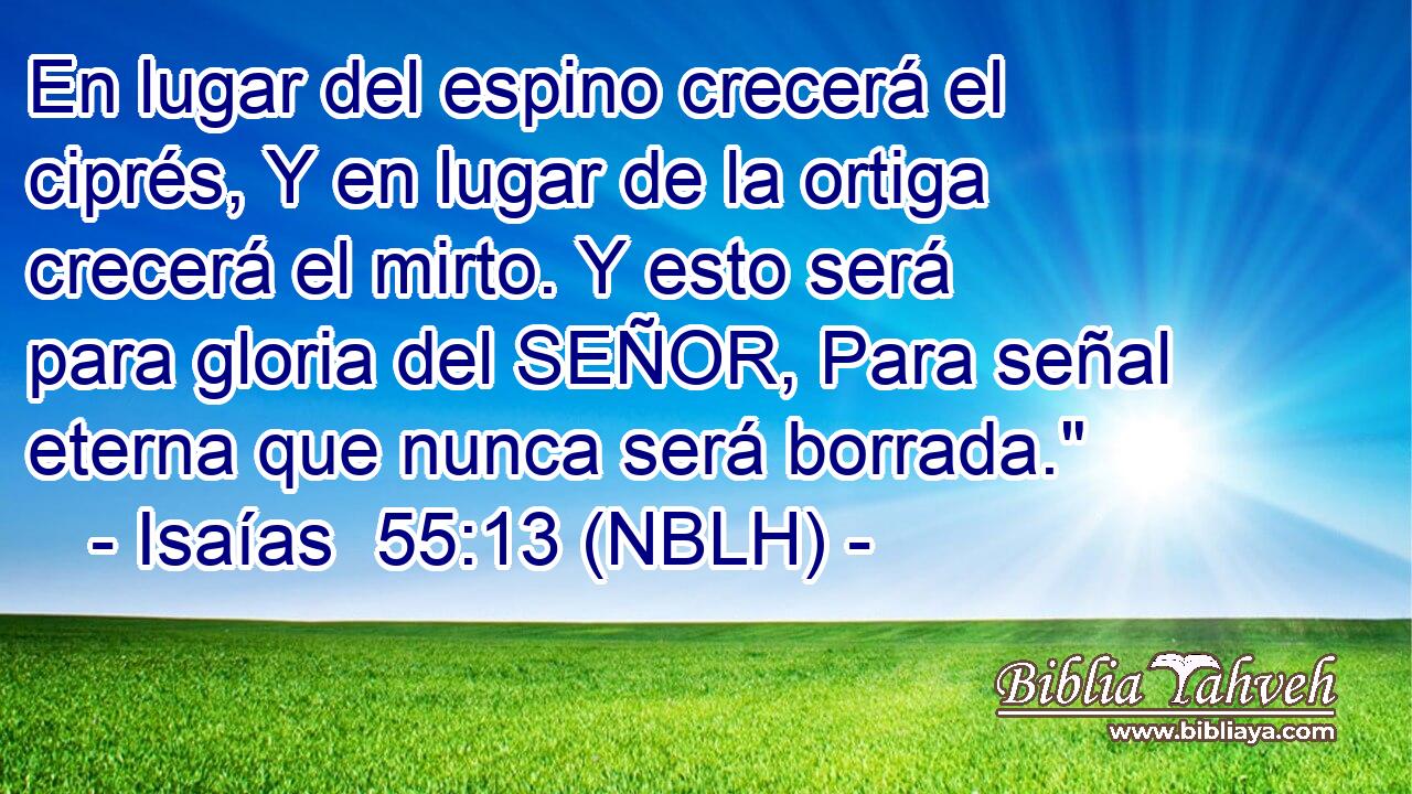  En lugar del espino crecerá el ciprés, Y en lugar de la ortiga crecerá el mirto. Y esto será para gloria del SEÑOR, Para señal eterna que nunca será borrada.