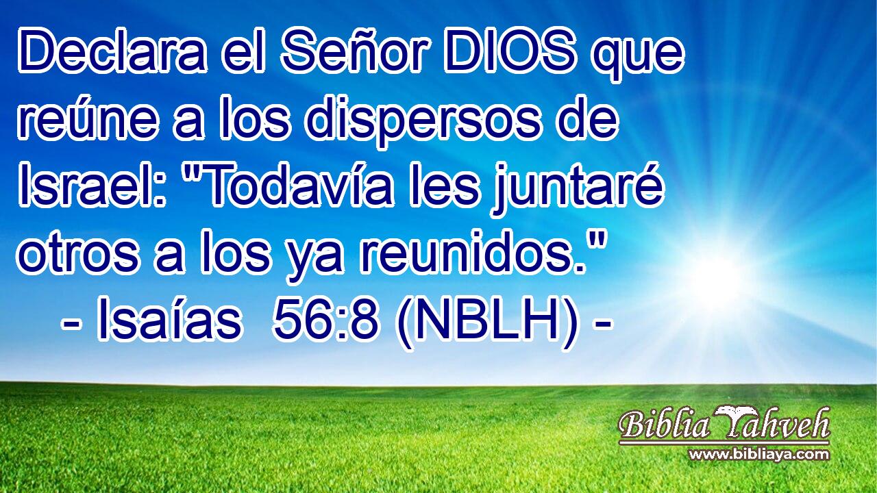  Declara el Señor DIOS que reúne a los dispersos de Israel: 