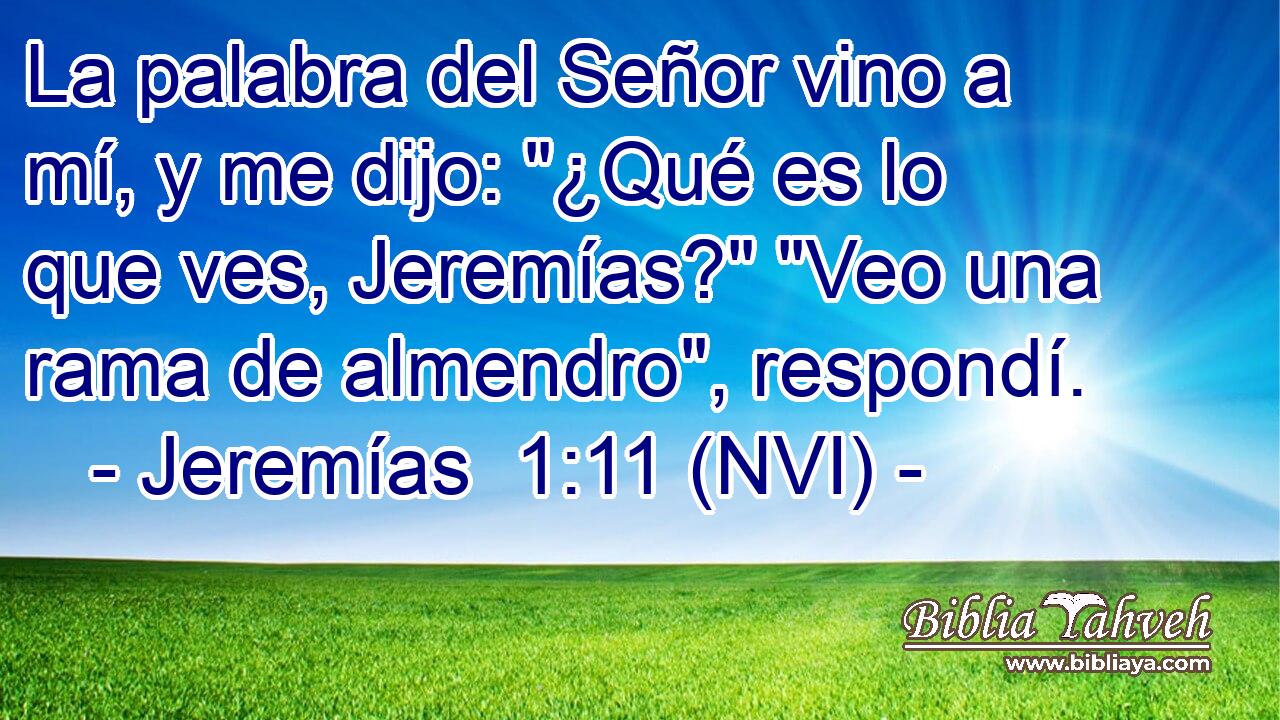  La palabra del Señor vino a mí, y me dijo: 