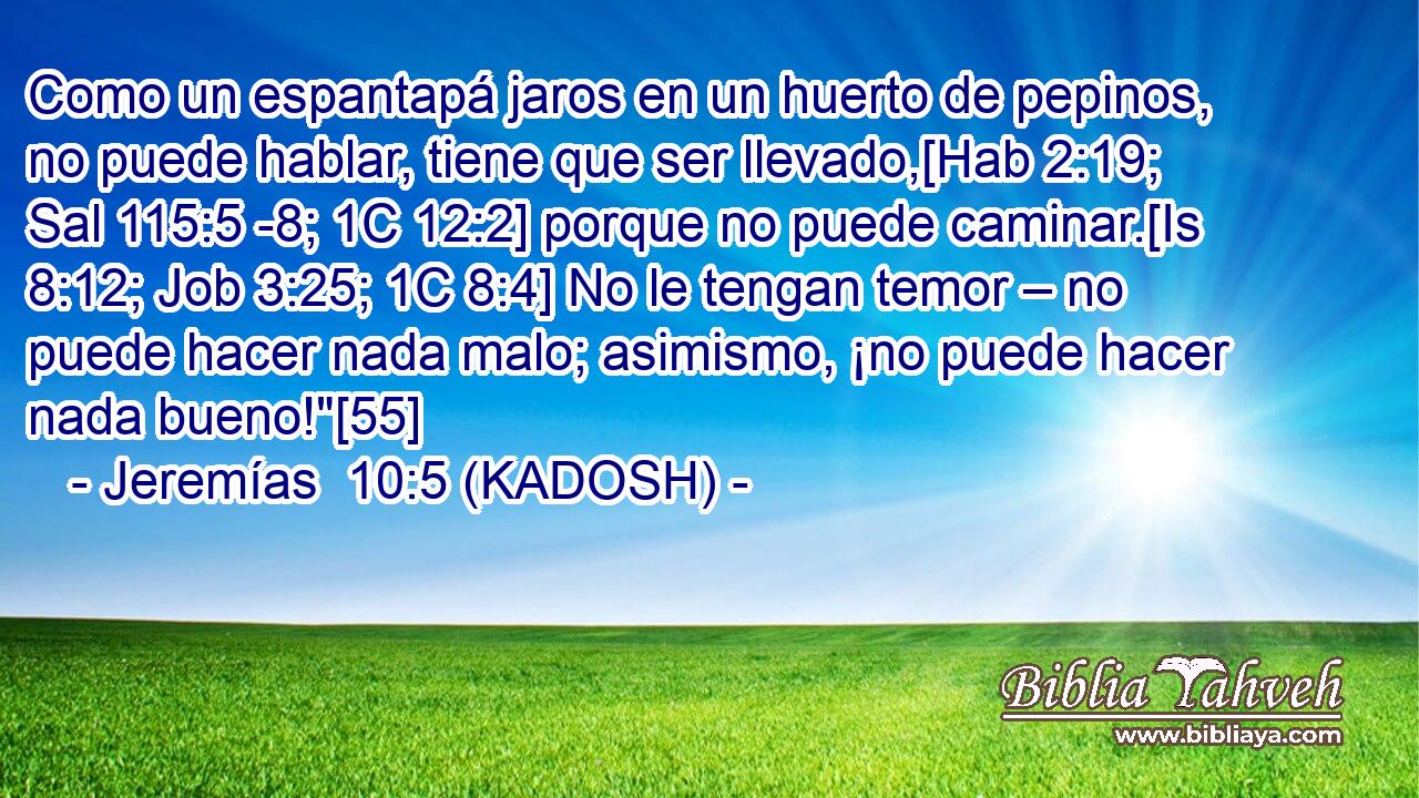  Como un espantapá jaros en un huerto de pepinos, no puede hablar, tiene que ser llevado,[Hab 2:19; Sal 115:5 -8; 1C 12:2] porque no puede caminar.[Is 8:12; Job 3:25; 1C 8:4] No le tengan temor – no puede hacer nada malo; asimismo, ¡no puede hacer nada bueno!