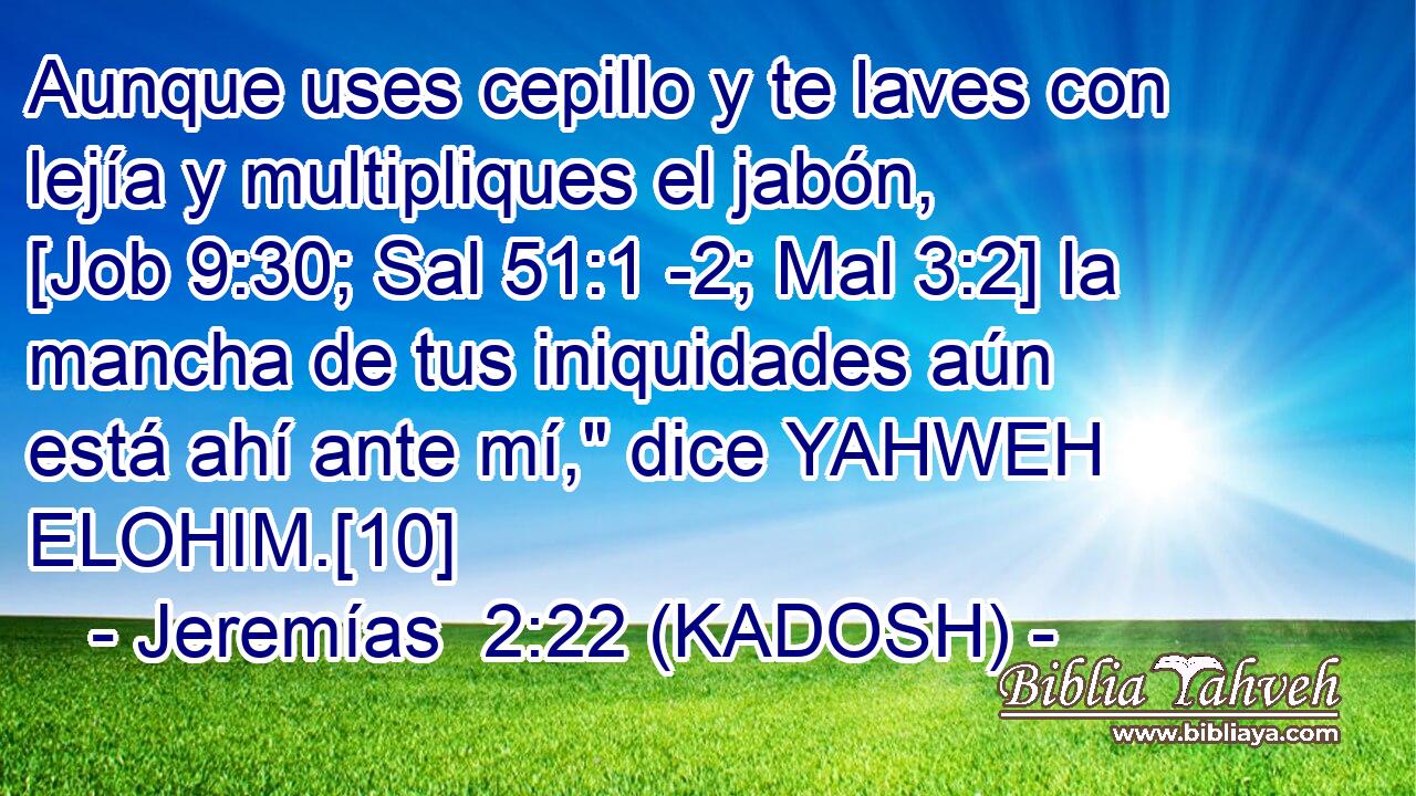  Aunque uses cepillo y te laves con lejía y multipliques el jabón, [Job 9:30; Sal 51:1 -2; Mal 3:2] la mancha de tus iniquidades aún está ahí ante mí,