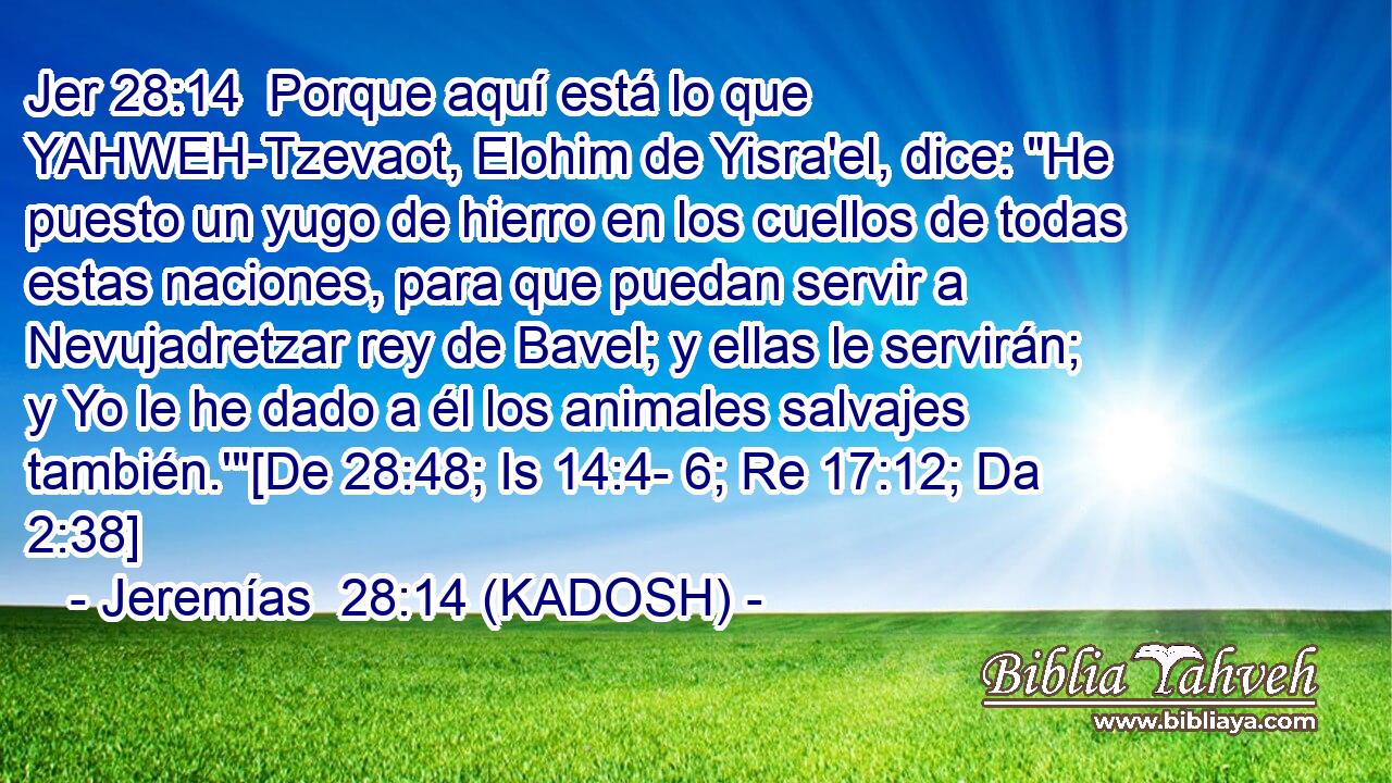  Porque aquí está lo que YAHWEH-Tzevaot, Elohim de Yisra'el, dice: 
