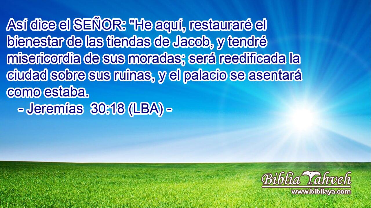 Así dice el SEÑOR: 
