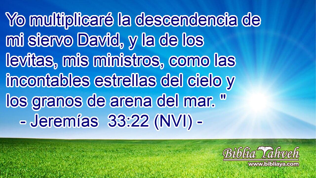 Yo multiplicaré la descendencia de mi siervo David, y la de los levitas, mis ministros, como las incontables estrellas del cielo y los granos de arena del mar. 