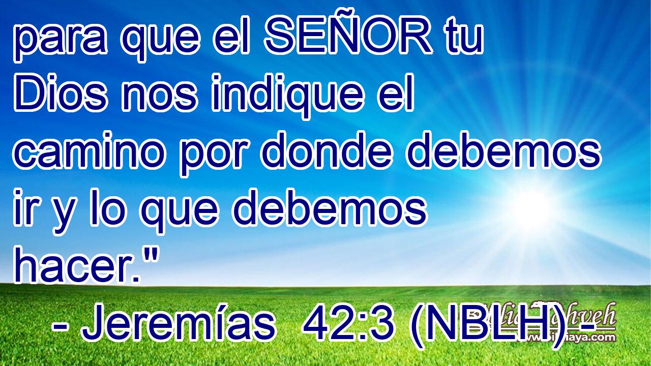  para que el SEÑOR tu Dios nos indique el camino por donde debemos ir y lo que debemos hacer.