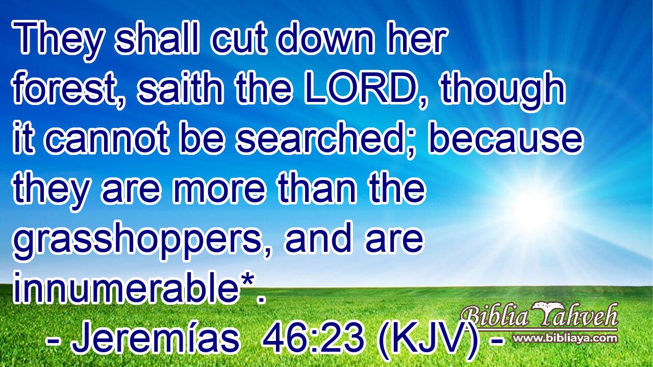 They shall cut down her forest, saith the LORD, though it cannot be searched; because they are more than the grasshoppers, and are innumerable*.