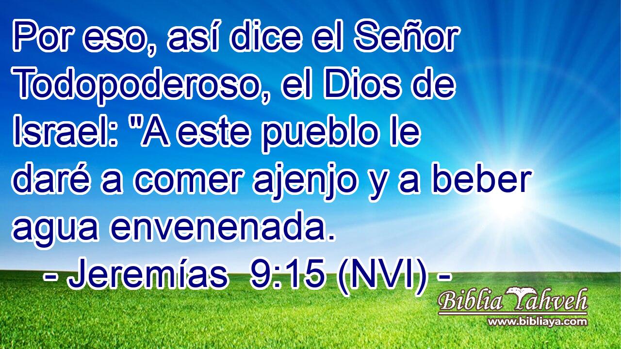  Por eso, así dice el Señor Todopoderoso, el Dios de Israel: 