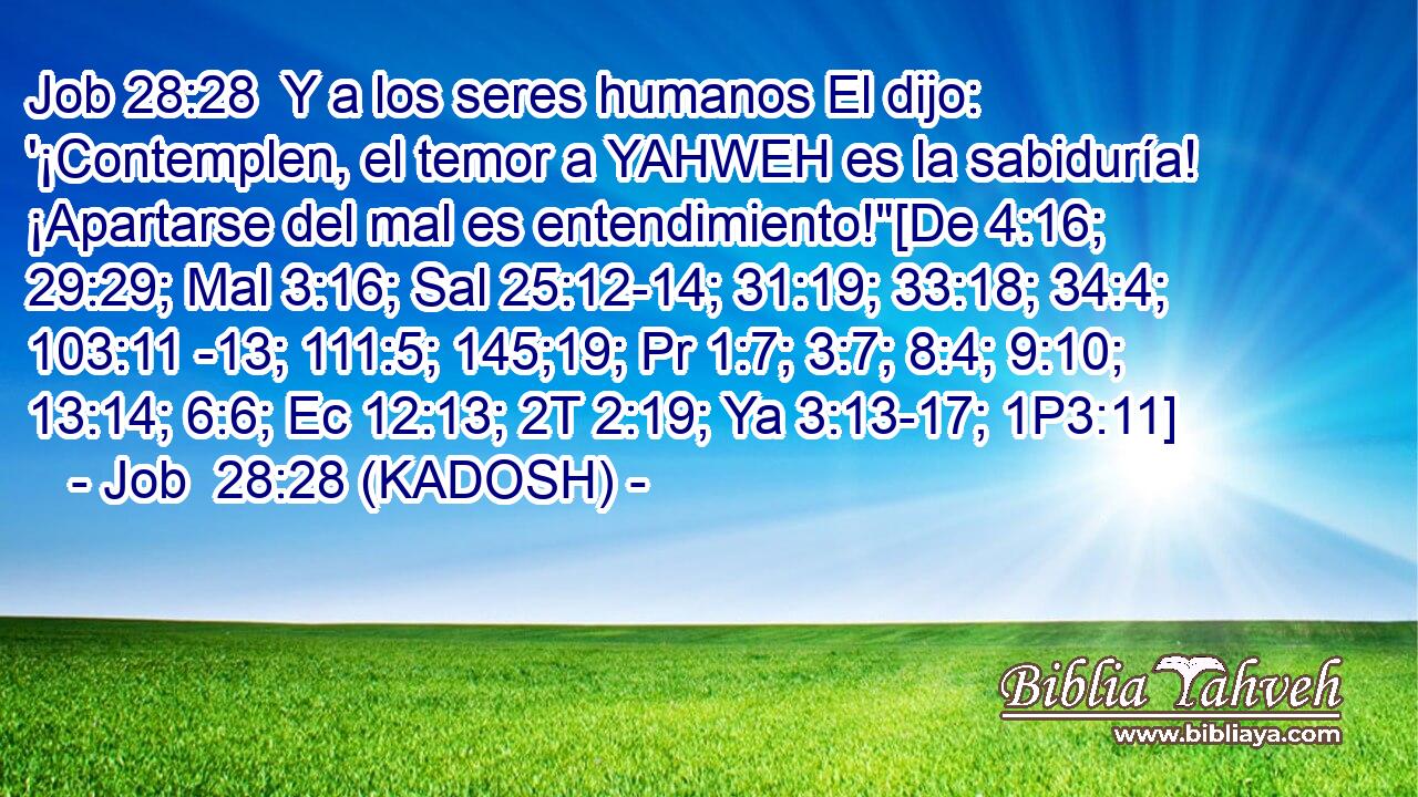  Y a los seres humanos El dijo: '¡Contemplen, el temor a YAHWEH es la sabiduría! ¡Apartarse del mal es entendimiento!