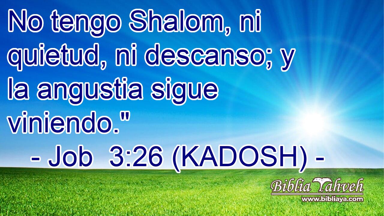  No tengo Shalom, ni quietud, ni descanso; y la angustia sigue viniendo.