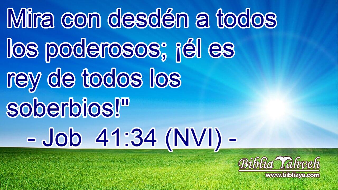  Mira con desdén a todos los poderosos; ¡él es rey de todos los soberbios!