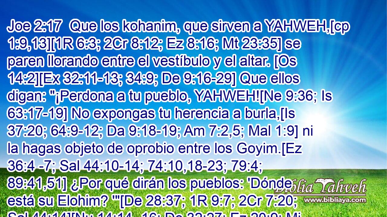 Que los kohanim, que sirven a YAHWEH,[cp 1:9,13][1R 6:3; 2Cr 8:12; Ez 8:16; Mt 23:35] se paren llorando entre el vestíbulo y el altar. [Os 14:2][Ex 32:11-13; 34:9; De 9:16-29] Que ellos digan: 