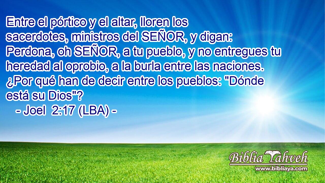 Entre el pórtico y el altar, lloren los sacerdotes, ministros del SEÑOR, y digan: Perdona, oh SEÑOR, a tu pueblo, y no entregues tu heredad al oprobio, a la burla entre las naciones. ¿Por qué han de decir entre los pueblos: 
