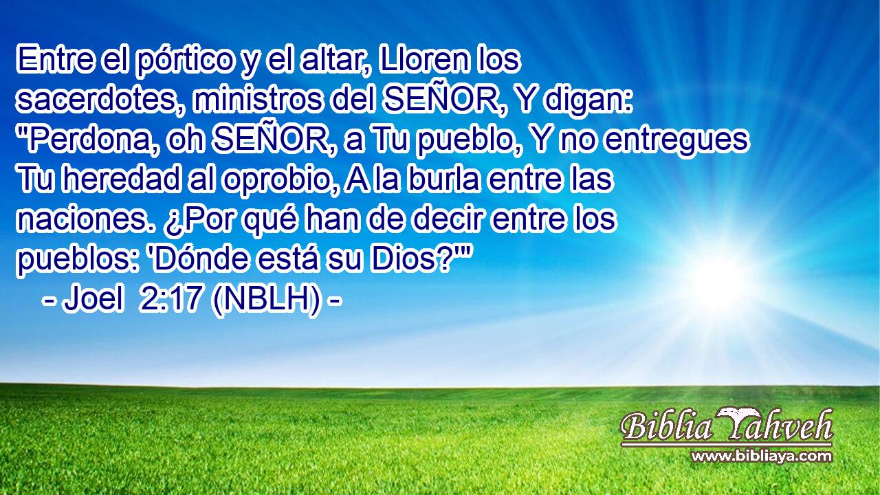  Entre el pórtico y el altar, Lloren los sacerdotes, ministros del SEÑOR, Y digan: 